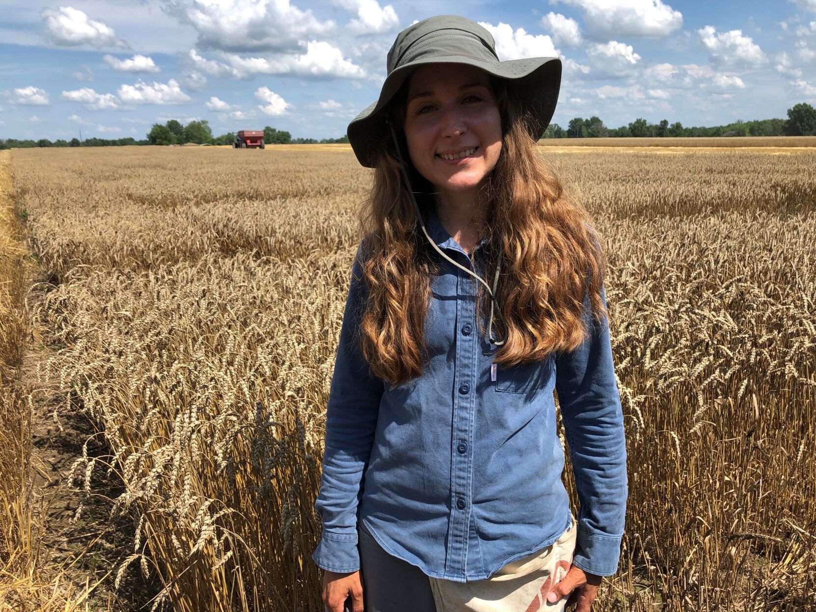 U of I wheat variety trials focus on profitability